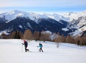 Schneeschuhwandern zur Alm