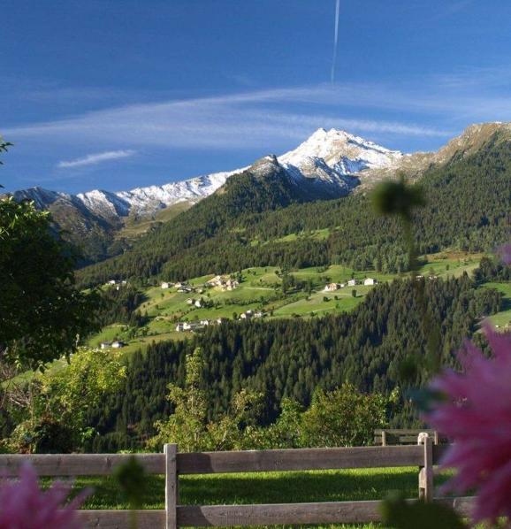 Ausblick Hotel Alpenland