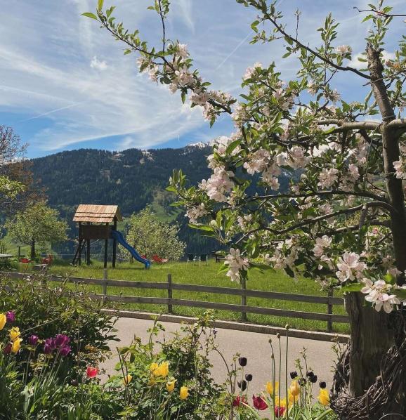 Hotel Alpenland*** - bei Meran in Südtirol - Kinderparadies